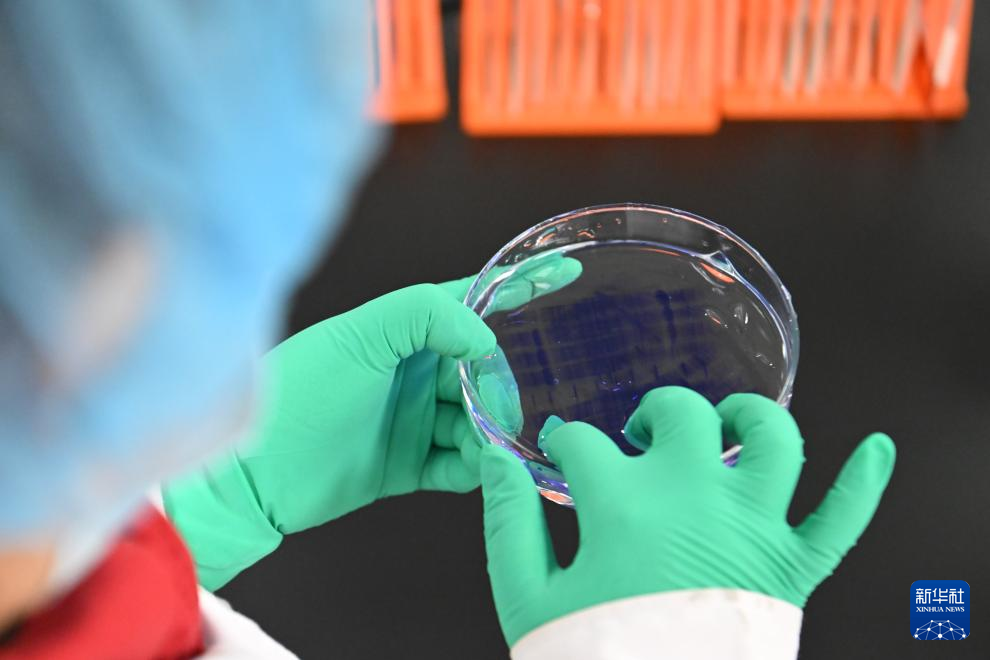 听,高质量发展新脉动|科技自强抢占未来新赛道