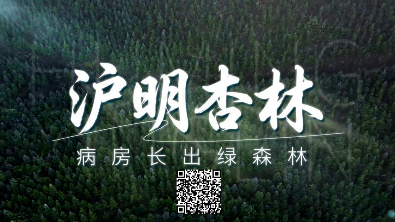 新春走基层|三明有片“医疗碳汇林” 新春走基层|三明有片“医疗碳汇林”