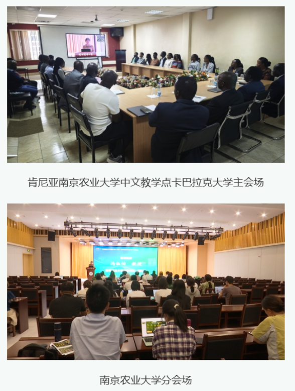 中国国际大学生创新大赛非洲区域赛专项训练营 中肯分会场同步开营