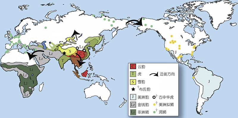 科协年会|邓涛:青藏高原不是背景板,是生物演化的“驱动力” 科协年会|邓涛:青藏高原不是背景板,是生物演化的“驱动力”